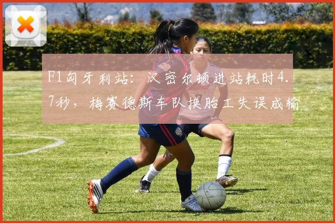 F1匈牙利站：汉密尔顿进站耗时4.7秒，梅赛德斯车队换胎工失误成输球罪人