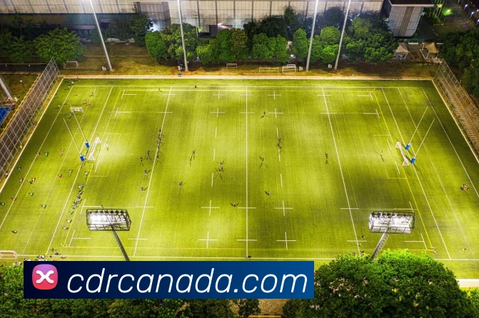 多彩内容专区